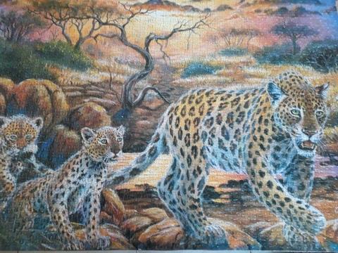 Leopard 900x600 Completed Artwork Jiksaw Puzzle
