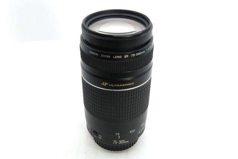 Canon EF 75-300mm F/4-5.6 III USM Lens