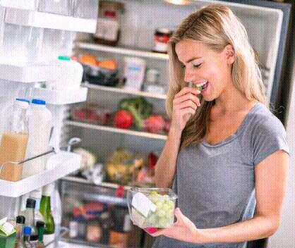 Re gas fridges and repair on site
