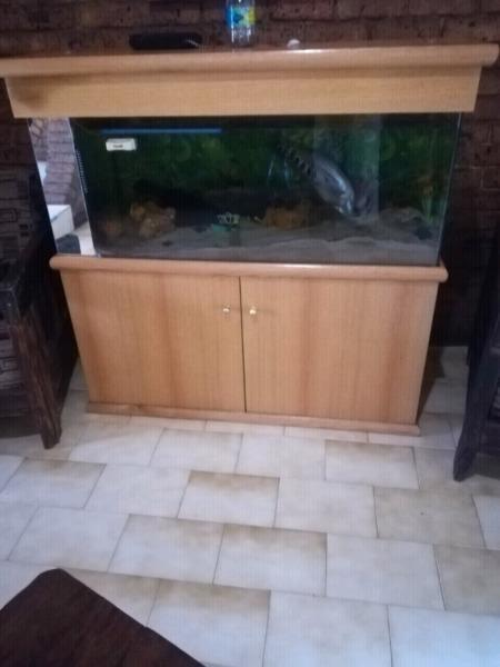 Cabinet with fish tank