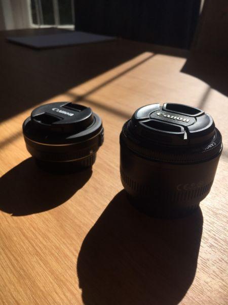 Canon 50mm 1.8 Mark ii and Canon 24mm 2.8 STM