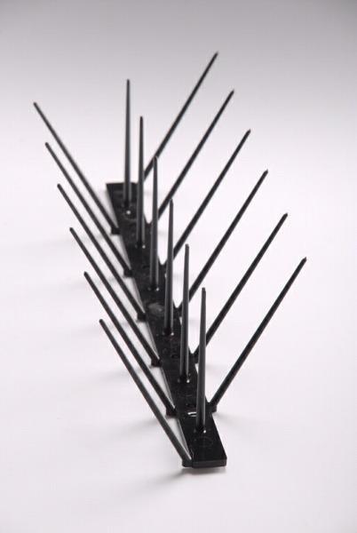 Bird Spikes - plastic and stainless steel