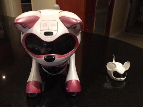 Prima tekno robotics Kitty and Mouse – Perfect Xmas gift