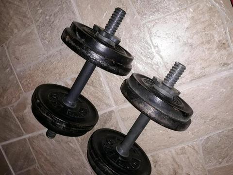 2 x 10kg dumbbells R400