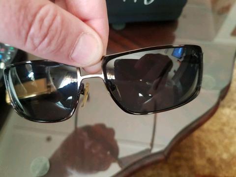 Carducci sunglasses