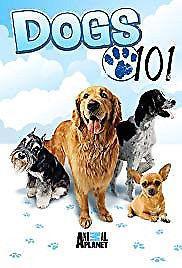 Dogs 101 season 1-4