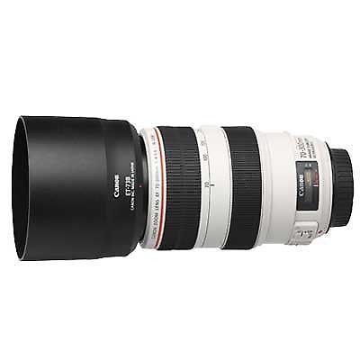 Canon 70-300 IS L