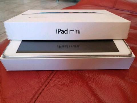 Apple Ipad Mini With Box For Sale