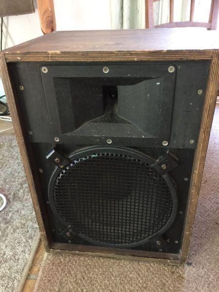 12 inch speaker in cabinet