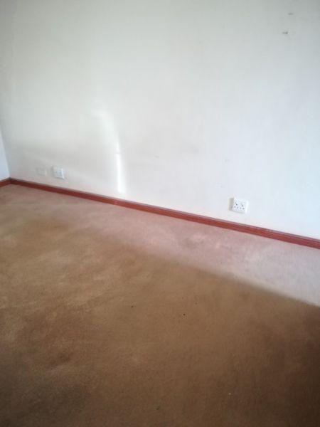 Carpet and underlay