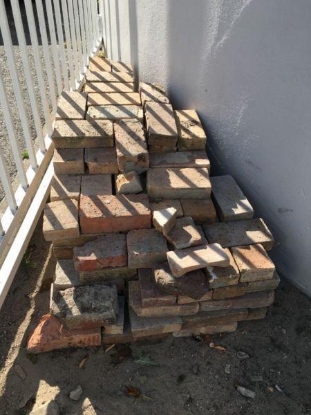 Paving bricks