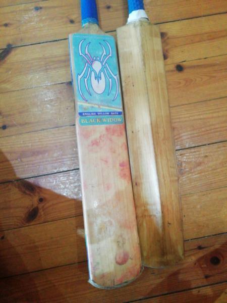 English willow 2 cricket bats