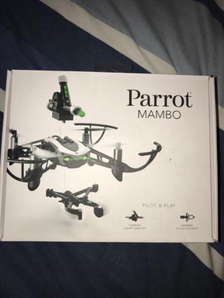 Parrot drone