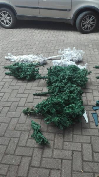 Christmas trees