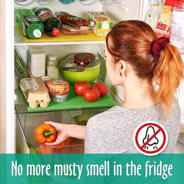 Re gas fridges and repair on site