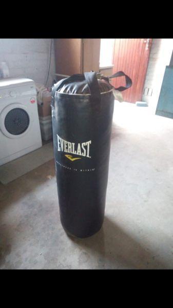 80 kg everlast Boxing bag