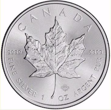 Silver Maple Leaf Coins (1oz)