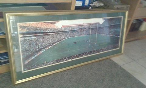 1995 WORLD CUP WINNING PHOTO FOR SALE