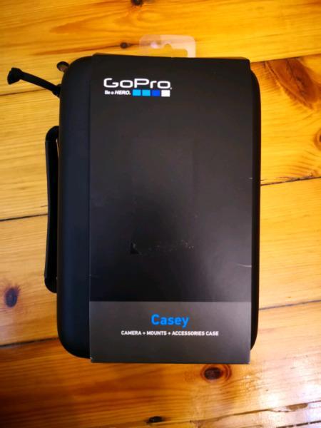 GoPro Casey Case
