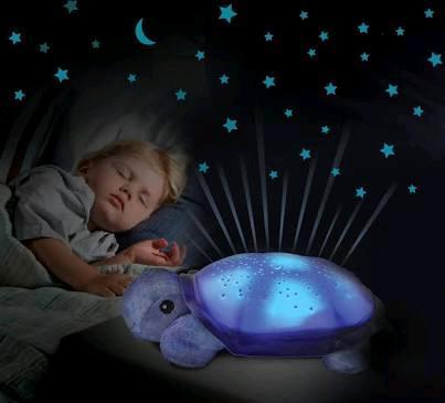 Turtle Night Light R150