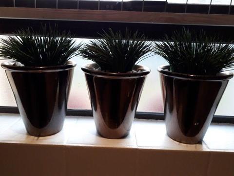 3 Ceramic Pots with Grass