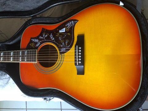 Hummingbird Pro Guitar