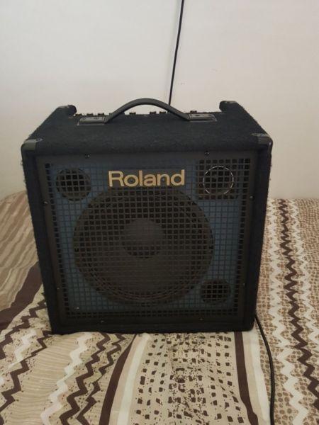 Roland 120W Amp