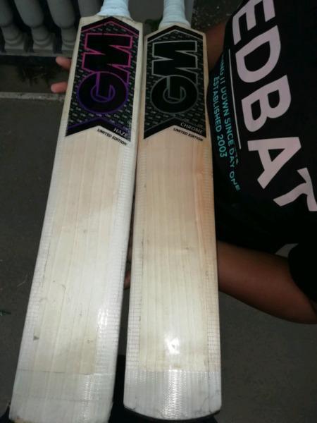 Players bat's