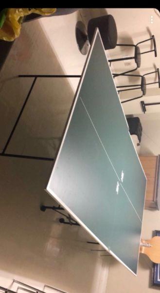 Table Tennis/Ping Pong Table