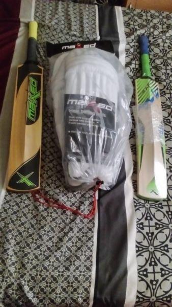 Cricket Bat and Cricket pads