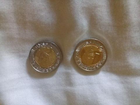 Mandela R5 coins
