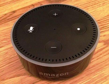 Amazon Echo Dot 2nd Gen in a Powerful Battery Speaker