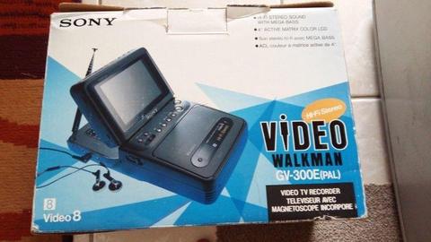 Sony Video Walkman