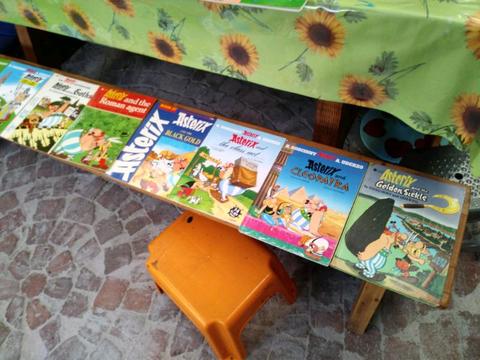 Asterix and Tin tin books