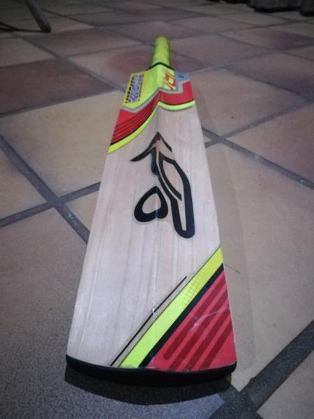 Cricket bat for sale