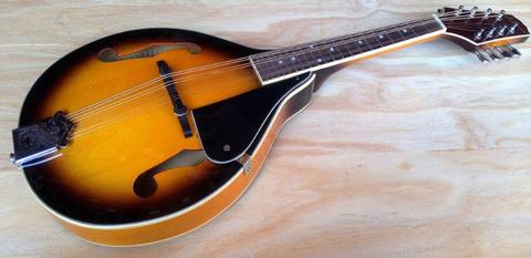 Johnson Mandolin MA-100 in great condition