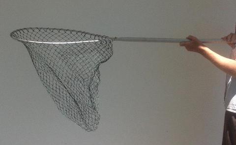 Fishing landing net