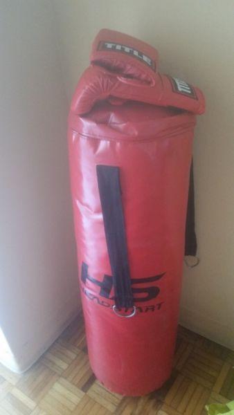Punch bag and gloves