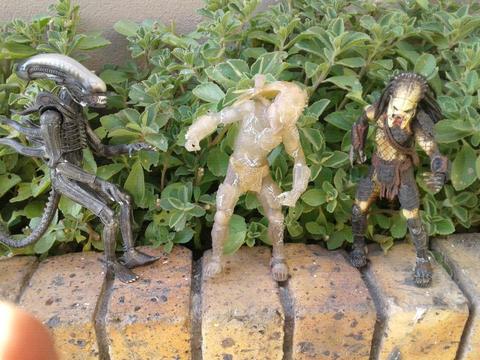 Collectible 4 Alien versus Predator figurine collection