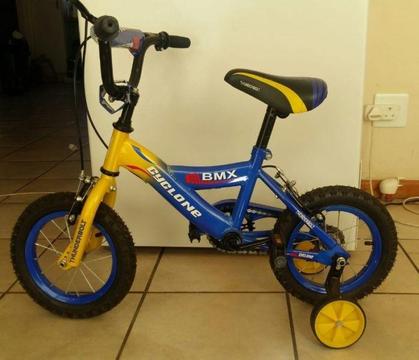 Ideal Christmas gift - Boy's blue bicycle