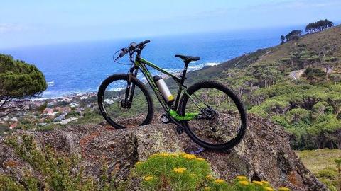 Electric mountain bikes / Electric fat bikes /Chilled Squirrel e-bikes Cape town /Rent e-bike