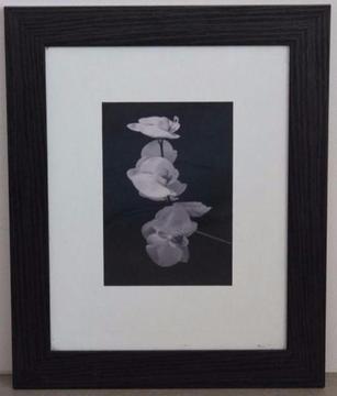 Black and White Vintage Flower Print