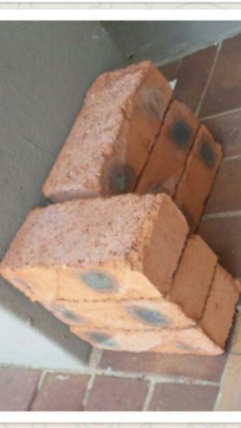 BRICKS (LOAD BEARING NFX CLAY)