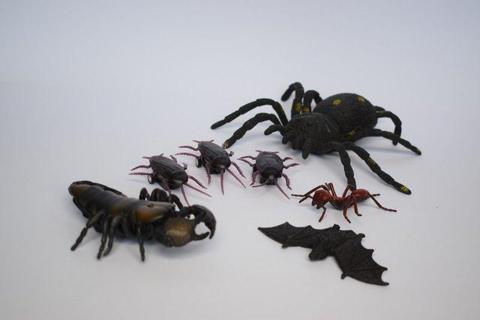 TOY INSECTS