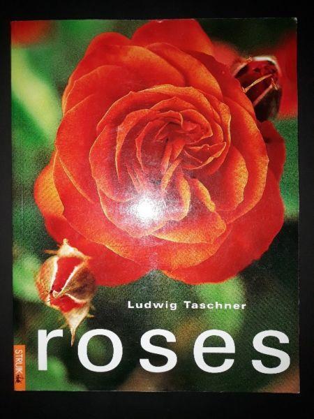 Roses - Ludwig Taschner