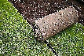 INSTANT WEED FREE ROLL ON LAWN