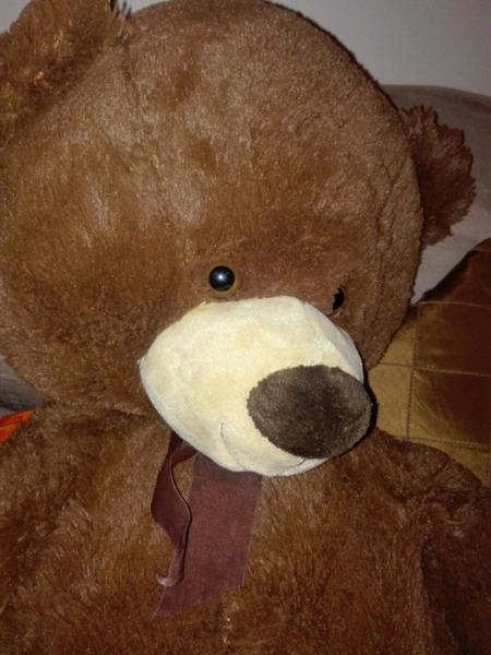 Large Teddy Bear (Durban)Pinetown
