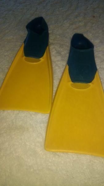 Swimming flippers size 34 to 35 or 0 to 1 requested for training kids by swimming instructor