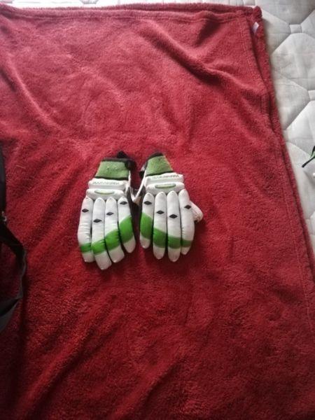 Cricket Gear for Sale (R1200) Negotiable