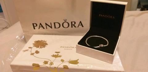 Beautiful Pandora Bracelet with Floral Cubic Zirconia Detail